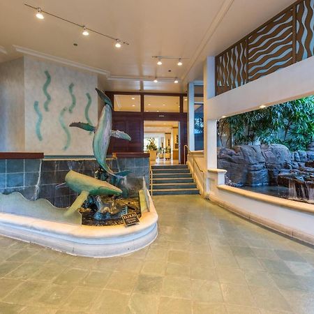 @ Marbella Lane - Oceanview Suite Steps To Beach Honolulu Exterior foto